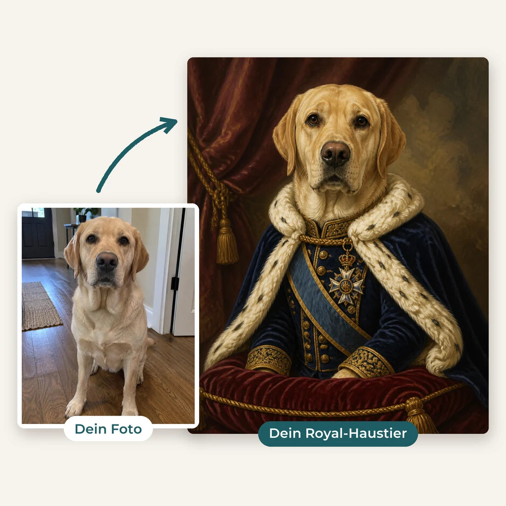 Vorher und nachher: Handyfoto eines Labradors und daraus sein Royal-Porträt im königlichen Gewand (KI-generiert)